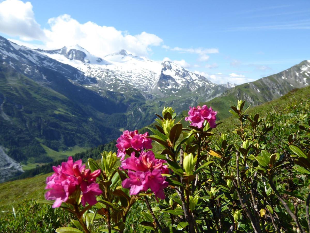 Ferienwohnung Alpenrose Tux Exterior foto